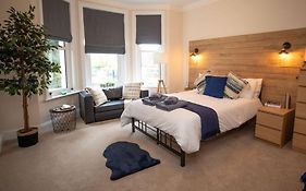 Treetop View Cosy Getaway In Eastbourne, Free Parking, Short And Long Stays,